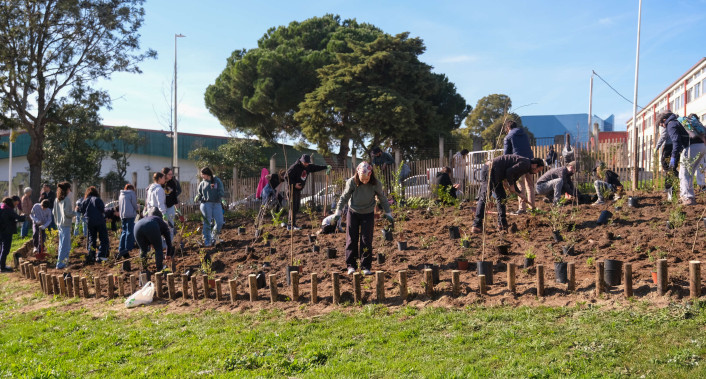 Almada, Ambiente, Microfloresta, Parque Urbano Comandante Júlio Ferraz, espaços verdes