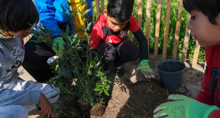 Ação de manutenção microfloresta Parque Urbano das Quintinhas