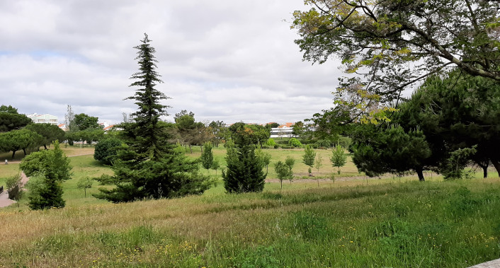 Parque Urbano das Quintinhas