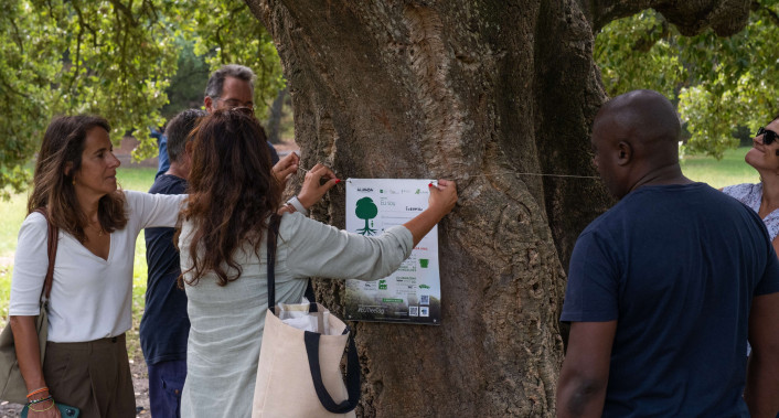Almada adere à campanha Tree Tag 