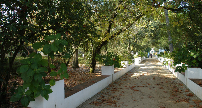 alameda jardim