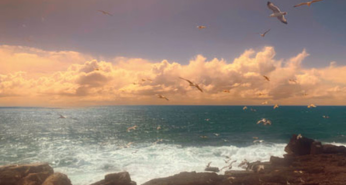 "A Gaivota", de Anton Tchékhov