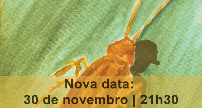 Metamorfose destaque menor