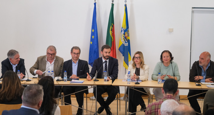 Apresentação do Relatório Voluntário Local