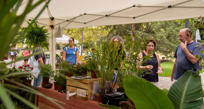 Eco-mercado no Parque da Paz