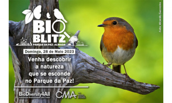 BioBlitz Parque da Paz 2023