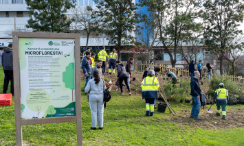 Microfloresta Parque Comandante Júlio Ferraz