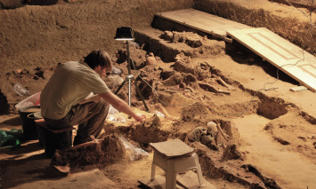 OFICINA_ANTROPOLOGIA_BIOLOGICA_MAIO_DIM_2025