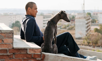 Cão Preto