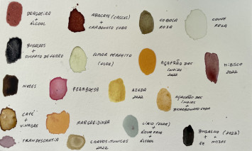Manchas de tinta vegetal e sua identificação
