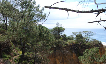 paisagem protegida 
