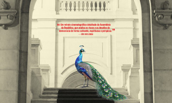 O Palácio de Cidadãos