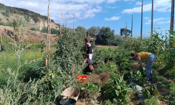 Horta experimental
