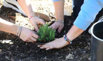 Agroparque das Terras da Costa e do Mar