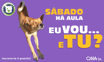 escolinha canina março 2026