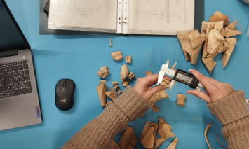 OFICINA_ARQUEOZOOLOGIA_DIMS_ABRIL_2026