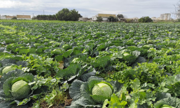 Agroparque das Terras da Costa e do Mar