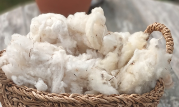 OFICINA_FELTRAGEM_ABRIL_2026