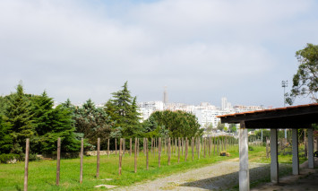 Viveiro do Parque da Paz