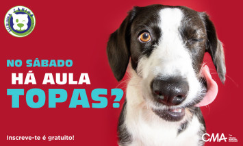 Escolinha Canina Maio