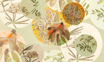 31.ª Edição SEMENTES - Memórias magnéticas