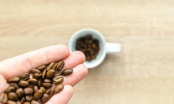 Entre grãos e aromas: ciência numa chávena de café