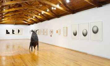 Visita orientada às exposições (fotografia de António Jorge Silva)