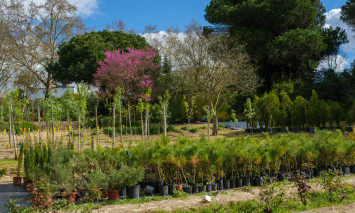 espaços verdes