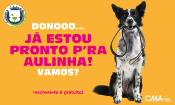 escolinha canina setembro 2026