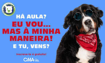 escolinha canina outubro