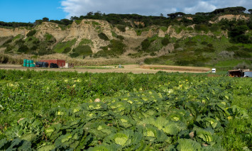 Agroparque das Terras da Costa e do Mar