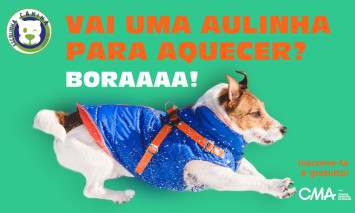 escolinha canina